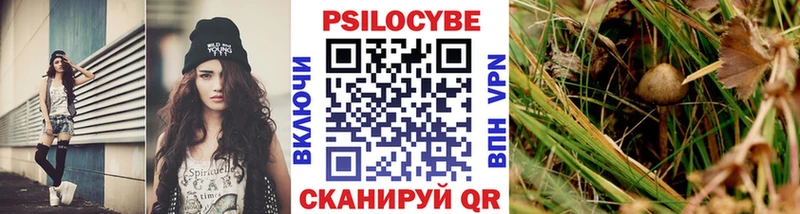 Псилоцибиновые грибы мухоморы  Шуя 